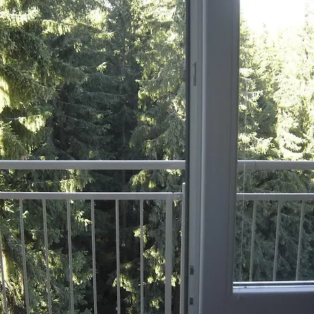 Apartmán Golem *