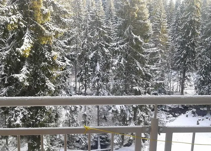 Апартаменты Golem *