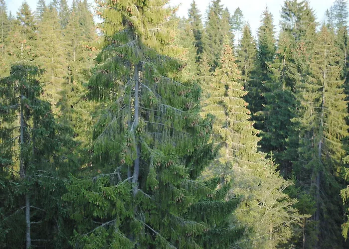 Διαμέρισμα Golem Tatranska Strba