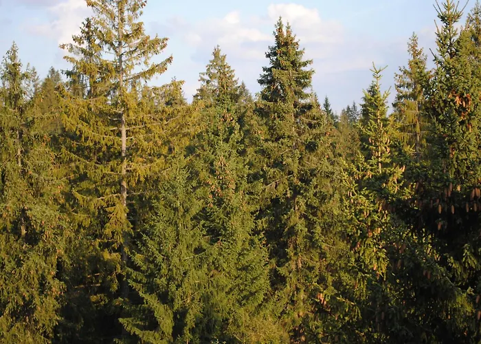 Golem Tatranska Strba