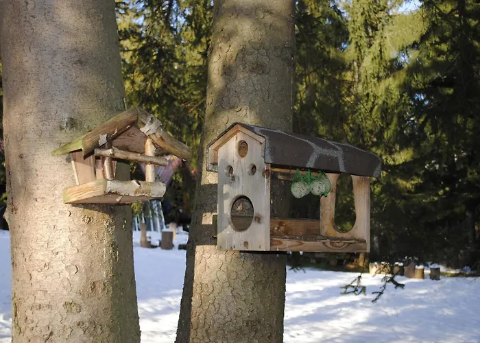 Golem Διαμέρισμα *